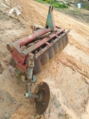 หาง7ใบ26cmt