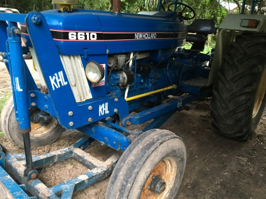 นิวฮอนแลน นิวฮอนแลน