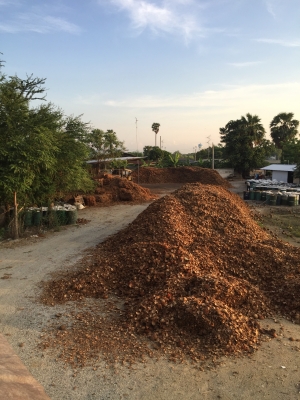 เชื้อเพลิงเตาบอยเลอร์