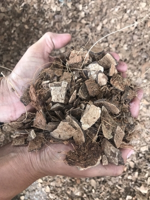 เชื้อเพลิงเตาบอยเลอร์