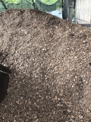 เชื้อเพลิงเตาบอยเลอร์