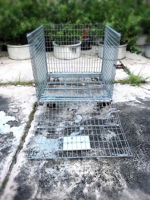 ตระกร้าใส่ของอเนกประสงค์พับได้