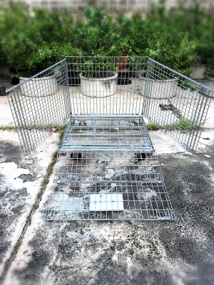 ตระกร้าใส่ของอเนกประสงค์พับได้