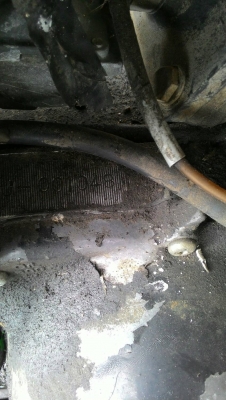 DT175 ถังอูฐหายาก ทบ.พร้อมโอน