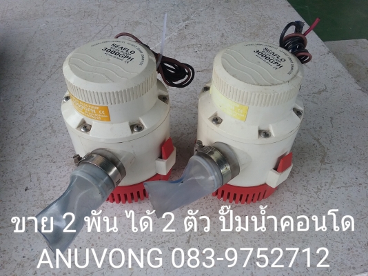ขาย 2 พัน ได้ 2 ตัว ปั๊มน้ำคอนโด