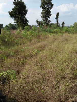 ขอบคุณทีมงานTruck2handมากครับลดสุดๆกันไปเลยครับ 19800บาทครับ ผาน3&times;22ใบเต็มๆครับไม่ค่อยได้ใช้ครับ ราคาเบาๆพร้อมต่อรองเลยครับ