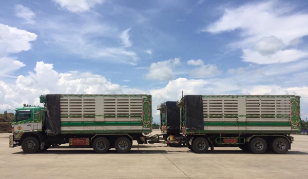 Hino 344 แรง ปี 56 กระบะดัมพ์แม่ลูก 3 เพลาอู่ซีที ทรัคใส่ของได้ 30.5 ตัน