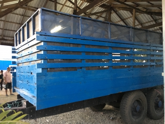 ขายสาลี ลากอ้อย สนใจโทร 081-2805754