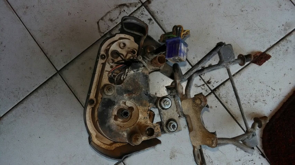 ไมล์ซูซูกิ cool