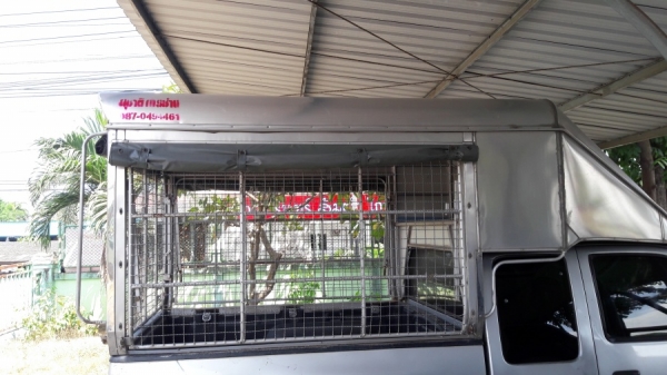 หลังคากระบะ