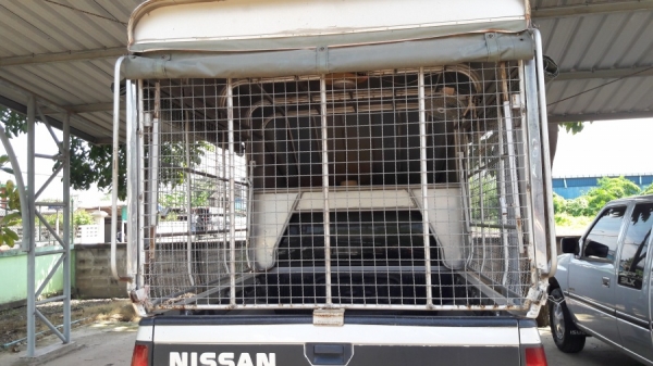 หลังคากระบะ หลังคากระบะ