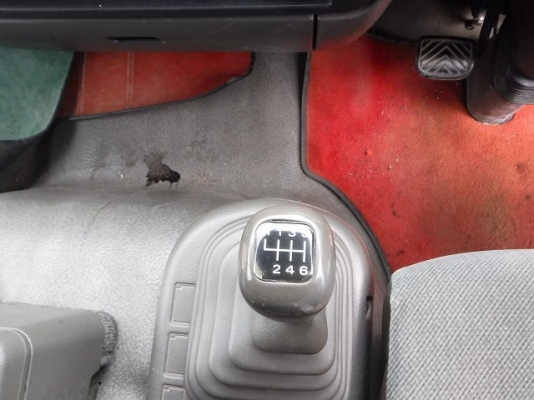 Ts75m1/nissan /FE6-  *จดทะเบียนได้เลยไม่ต้องรอ ให้ฟรี* จัดไฟแน็นท์ ได้