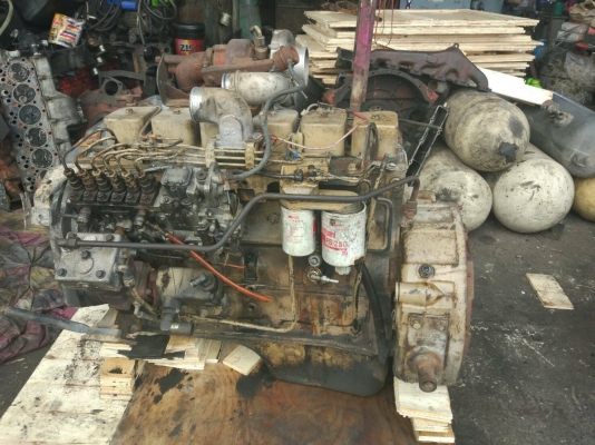 ขายเครื่อง cummins 6BT / 6CT - 061-782-8785 ขายเครื่อง cummins 6BT / 6CT - 061-782-8785