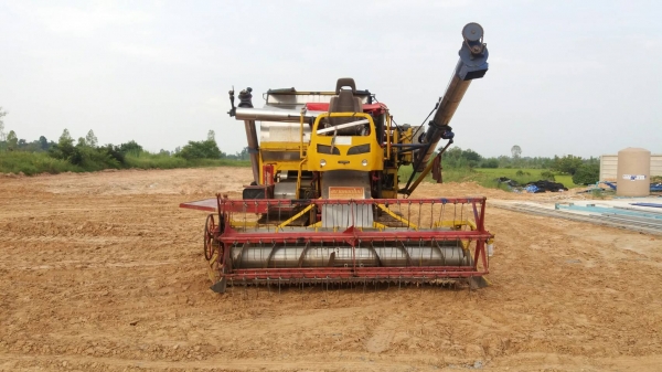 ขายด่วน รถเกี่ยวสยาม 190 แรงม้า ตามสภาพ 250,000 บาทเท่านั้น