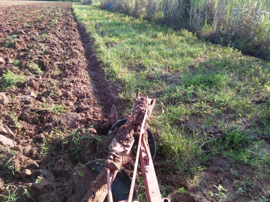 ขอบคุณทีมงานTruck2handมากครับขายครับ3&times;22ใบเต็มๆTRRใช้น้อยราคาตัดต่อรองได้ครับขายได้ขาย