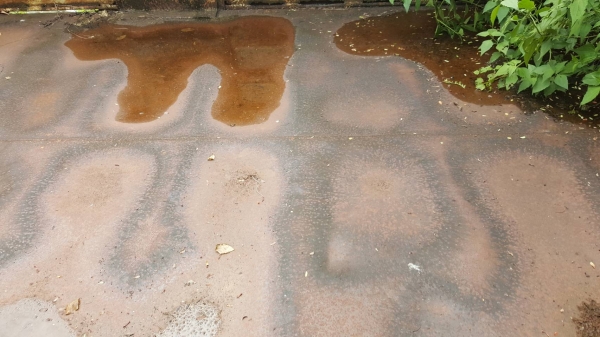 ขาย กระบะเหล็กไม่ดั้ม ยาว 6 เมตร กว้าง 2.40 เมตร สูง 1.80 เมตร คัสซีเทียมกว้าง 84 ซม. พื้นกระบะดี ขาย กระบะเหล็กไม่ดั้ม ยาว 6 เมตร กว้าง 2.40 เมตร สูง 1.80 เมตร คัสซีเทียมกว้าง 84 ซม. พื้นกระบะดี