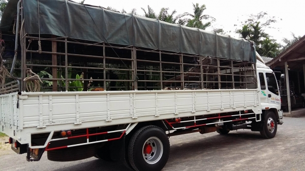 ขาย6ล้อใหญ่ ISUZU DECA FTR 200แรง EURO2 ปี45 ยาว7.20เมตร พร้อมใช้งาน สนใจติดต่อ 081-5418878