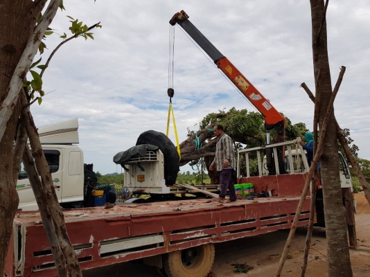 ขายรถบรรทุก6ล้อติดเครน 5 ตัน ขายรถบรรทุก6ล้อติดเครน 5 ตัน