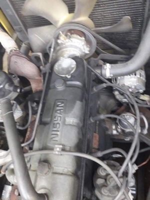 ขายด่วน