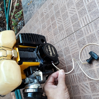 Robin nbs261 Robin nbs261