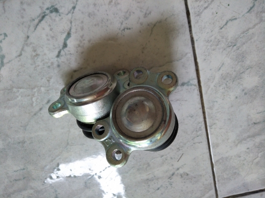 ลูกหมากปีกนกบน TFR มังกรทอง 300 ลูกหมากปีกนกบน TFR มังกรทอง 300