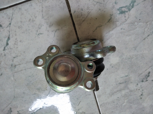 ลูกหมากปีกนกบน TFR มังกรทอง 300 ลูกหมากปีกนกบน TFR มังกรทอง 300