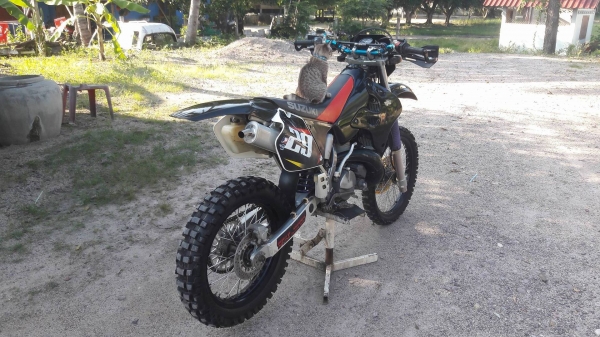 rmx250 rmx250