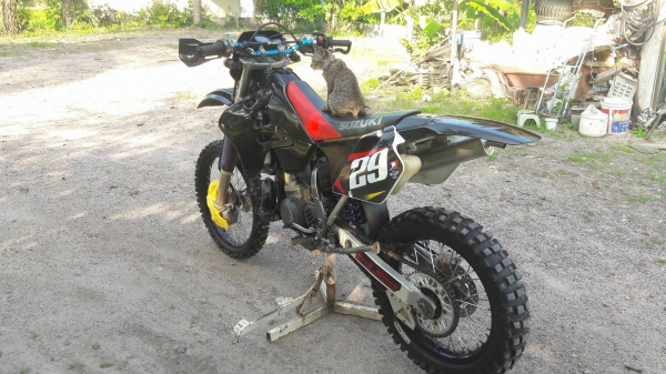 rmx250 rmx250