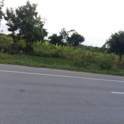 ขายที่ดิน 16 ไร่ 55 ตรว. ติดถนน 4 เลน(แบ่งขายได้) ขายที่ดิน 16 ไร่ 55 ตรว. ติดถนน 4 เลน(แบ่งขายได้)