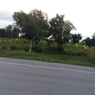 ขายที่ดิน 16 ไร่ 55 ตรว. ติดถนน 4 เลน(แบ่งขายได้) ขายที่ดิน 16 ไร่ 55 ตรว. ติดถนน 4 เลน(แบ่งขายได้)