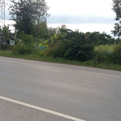 ขายที่ดิน 16 ไร่ 55 ตรว. ติดถนน 4 เลน(แบ่งขายได้) ขายที่ดิน 16 ไร่ 55 ตรว. ติดถนน 4 เลน(แบ่งขายได้)