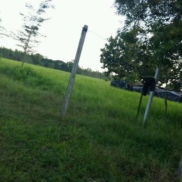 ขายที่ดิน 5ไร่ 1 งาน 69 ตรว.