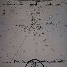 ขายที่ดินพร้อมสิ่งปลูกสร้าง 1ไร่ กว่า (แบ่งขาย) ขายที่ดินพร้อมสิ่งปลูกสร้าง 1ไร่ กว่า (แบ่งขาย)