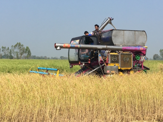 ขายรถเกี่ยวข้าวอำนวยการช่างหัวแอร์บิ้วใหม่ทั้งคัน