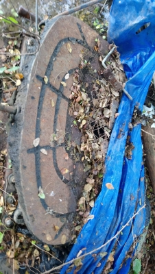 จานหน้าวัว