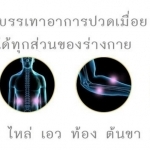 เครื่องนวดอัตโนมัติ สามารถใช้งานในบ้านและในรถยนต์  สำหรับนวดบ่า ไหล่ สะบัก คอ เครื่องนวดระบบไฟฟ้า 8 จุดสัมพัส เครื่องนวด เพื่อสุขภาพ     เหมาะสำหรับผู้ที่มีอาการปวดเมื่อยจากการทำงานนานๆ หรือ ทำงานหนักๆ รวมไปถึง ผู้ป่วยที่มีอาการที่เรียกว่า Office Syndrome