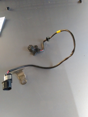 ขายเซนเซอไททัน