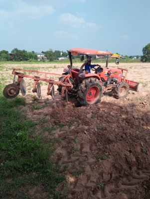 ตัดราคากันรอบสุดท้ายนะครับ23000บาทครับขายด่วนเลยครับผาน4&times;22ใบเต็มๆDP224Eตราช้างสวยๆงามๆพร้อมต่อรองราคาได้ครับ