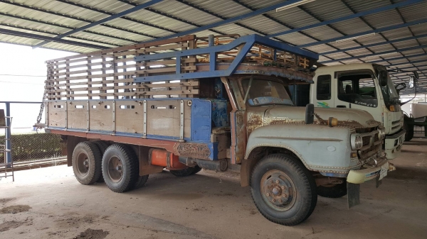 ขาย รถ 10 ล้อ หัวยาว 2 เพลา ช่วงล่างใหญ่จัมโบ้ เครื่อง EH700 168 แรงม้า คัสซีสวย มีสโลว์กลาง ยางเต็ม ทะเบียนพร้อมโอน