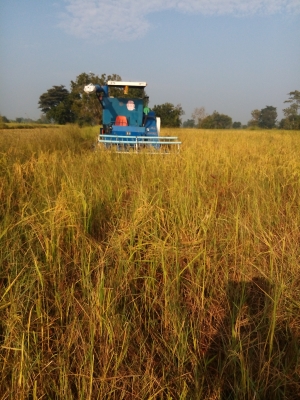 รถเกี่ยว,3 ระบบ,พร้อมใช้งาน,อุ้ม700ก.ก.