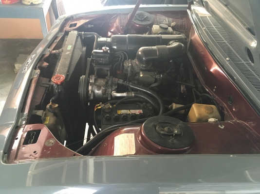 เปอร์โย504