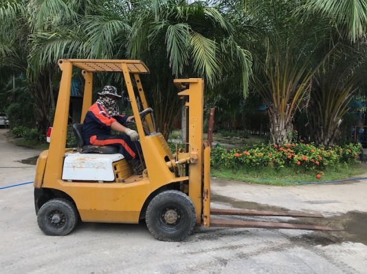 ขายFORKLIFT TOTOTA รุ่น3FG15(1.5ตัน)(เสาฟรูฟรี้สูง4เมตร) สวยเดิมจากญี่ปุ่น ยังไม่เคยใช้ในไทย 110,000เท่านั้น!!