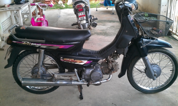 Dream ก้นมน