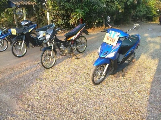 ขายเหมา 3 คัน เวฟ 125  โซนิค 125  มีโอ 115