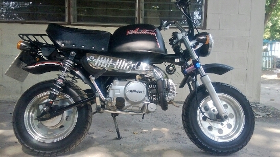 stallions mini black ทะเบียนเต็ม ลดราคาด่วนๆ