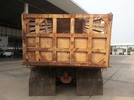 ขายฮีโน่1m