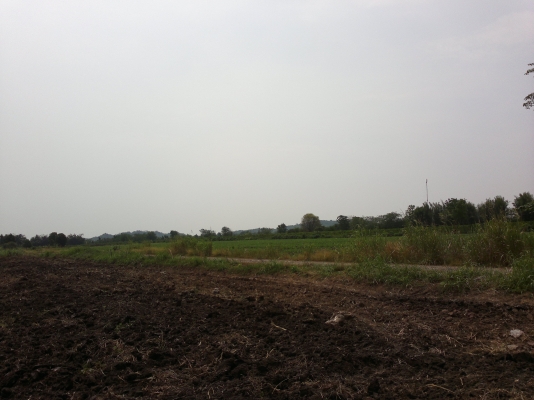 ขายที่โฉนดเขตเทศบาลวังไทรอำเภอปากช่อง