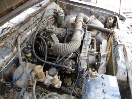 ขายดัสสัน ช้างเหยียบ ถูกๆๆ ขายดัสสัน ช้างเหยียบ ถูกๆๆ