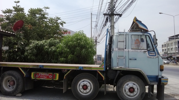 ขายรถบรรทุก 12 ล้อ
