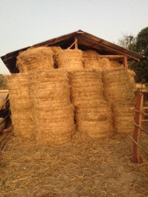 เครื่องอัดฟางแบบก้อนกลม